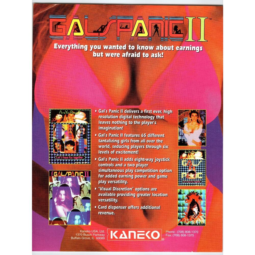 Gal's Panic II 1990s Kaneko Arcade Game Flyer Buffalo Grove IL